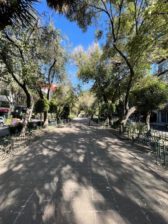 Boutique Hotel Durango219 メキシコシティ エクステリア 写真