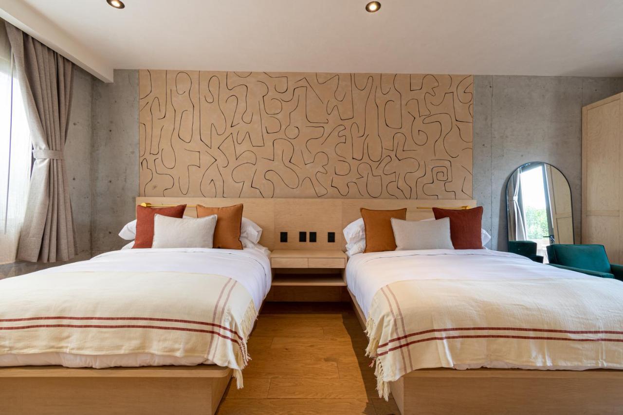 Boutique Hotel Durango219 メキシコシティ エクステリア 写真
