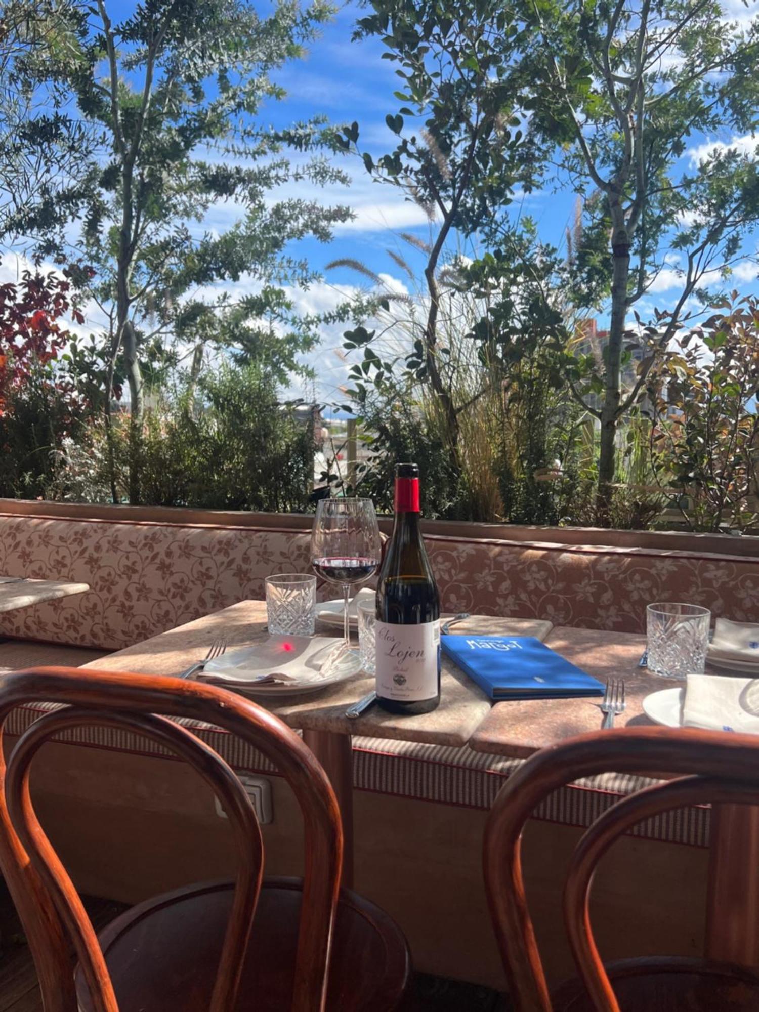 Boutique Hotel Durango219 メキシコシティ エクステリア 写真